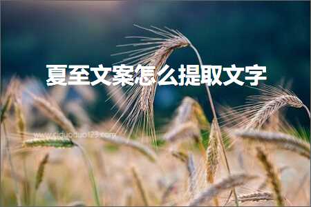 夏至文案怎么提取文字